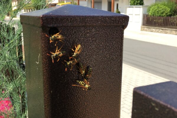 SWOT pre malé a stredné podniky: Rýchly a dáta-light prístup