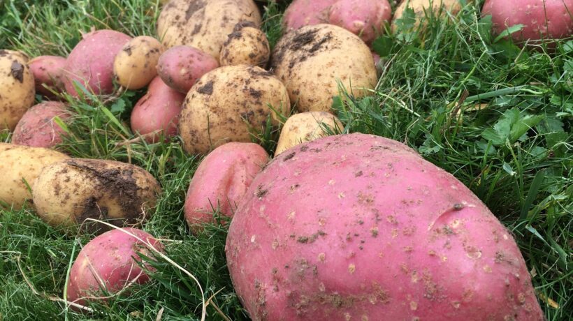 SWOT pre agilné tímy: Ročné plánovanie kapacít a rozvoja schopností