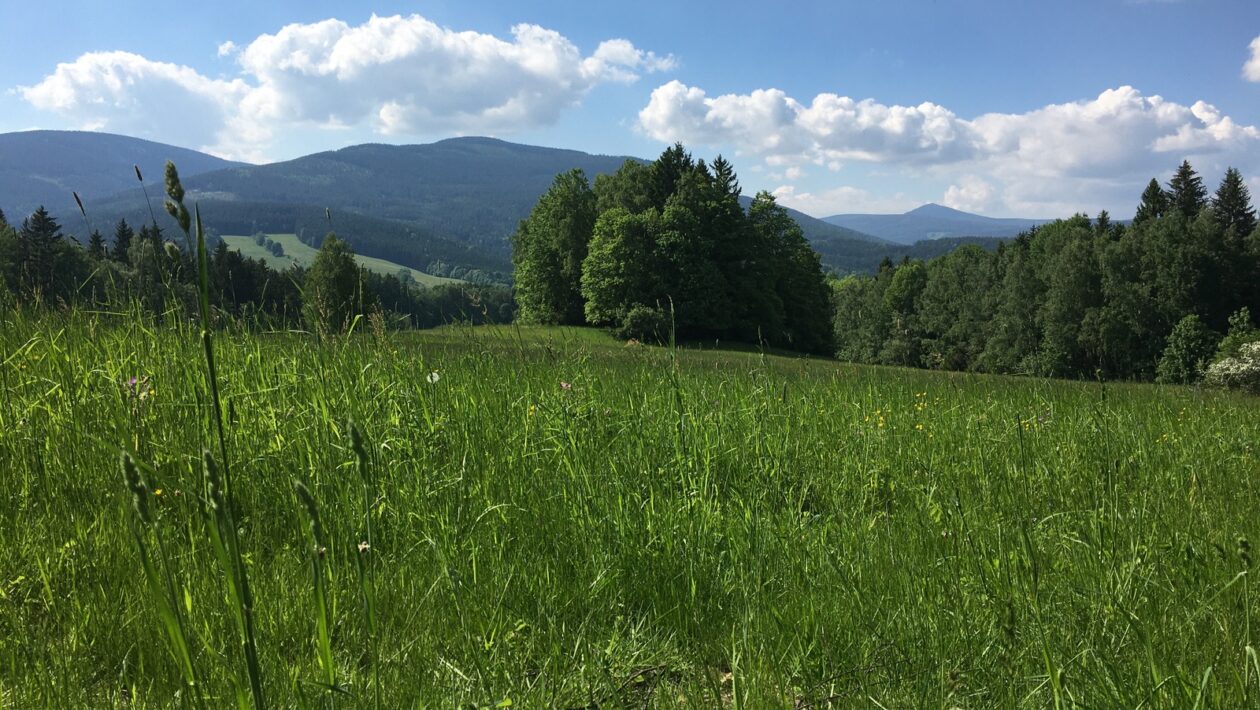 SWOT vo financiách: Analýza likvidity, kapitálovej primeranosti a úrokového rizika