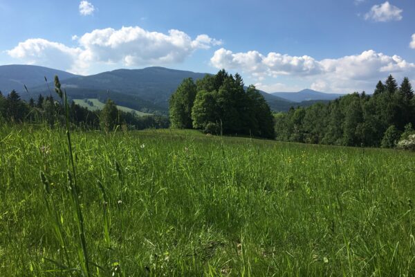 SWOT vo financiách: Analýza likvidity, kapitálovej primeranosti a úrokového rizika