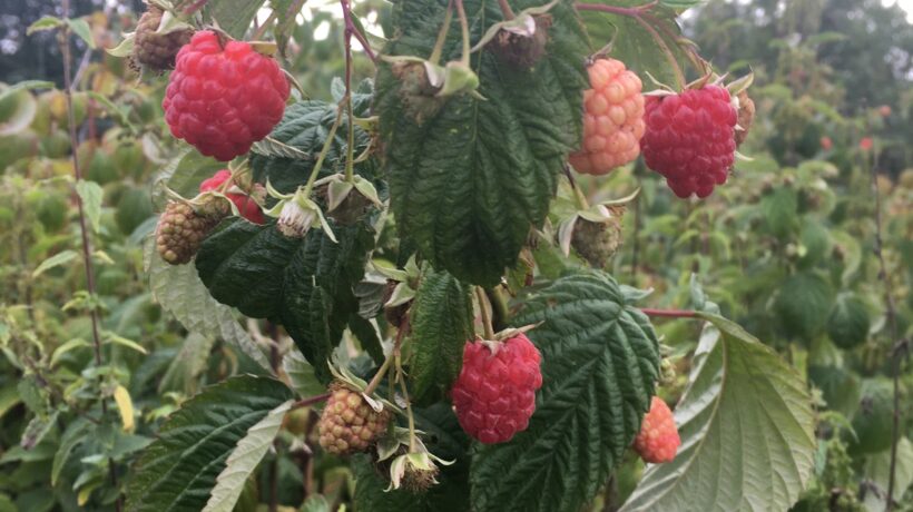 SWOT pre turizmus: Manažment sezónnosti, destinácií a kľúčových partnerstiev