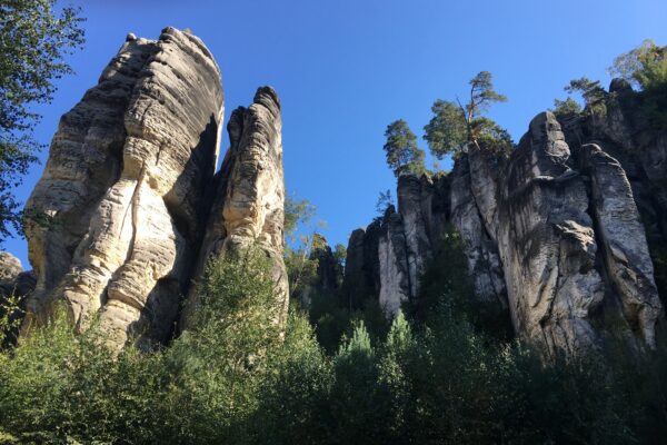 SWOT v Change Management: Diagnóza pripravenosti organizácie na strategickú zmenu