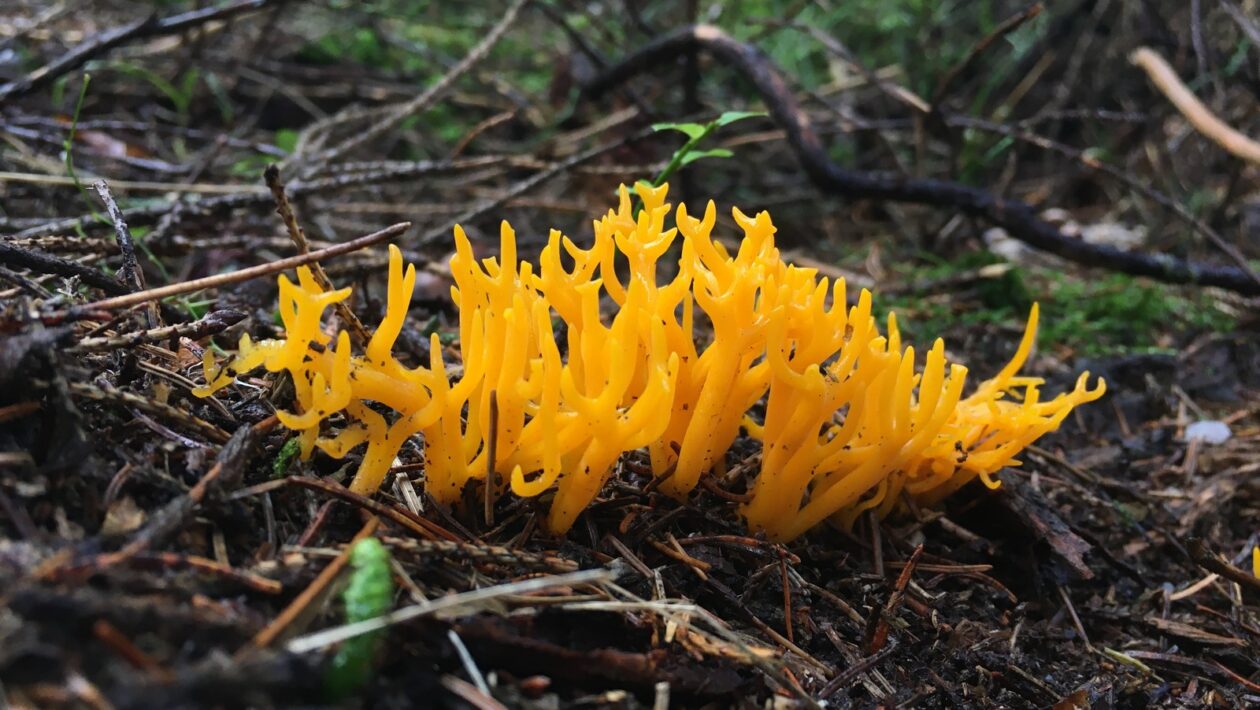 Meranie prvých dopadov: KPI po 90 dňoch od implementácie SWOT