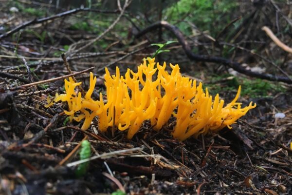 Meranie prvých dopadov: KPI po 90 dňoch od implementácie SWOT