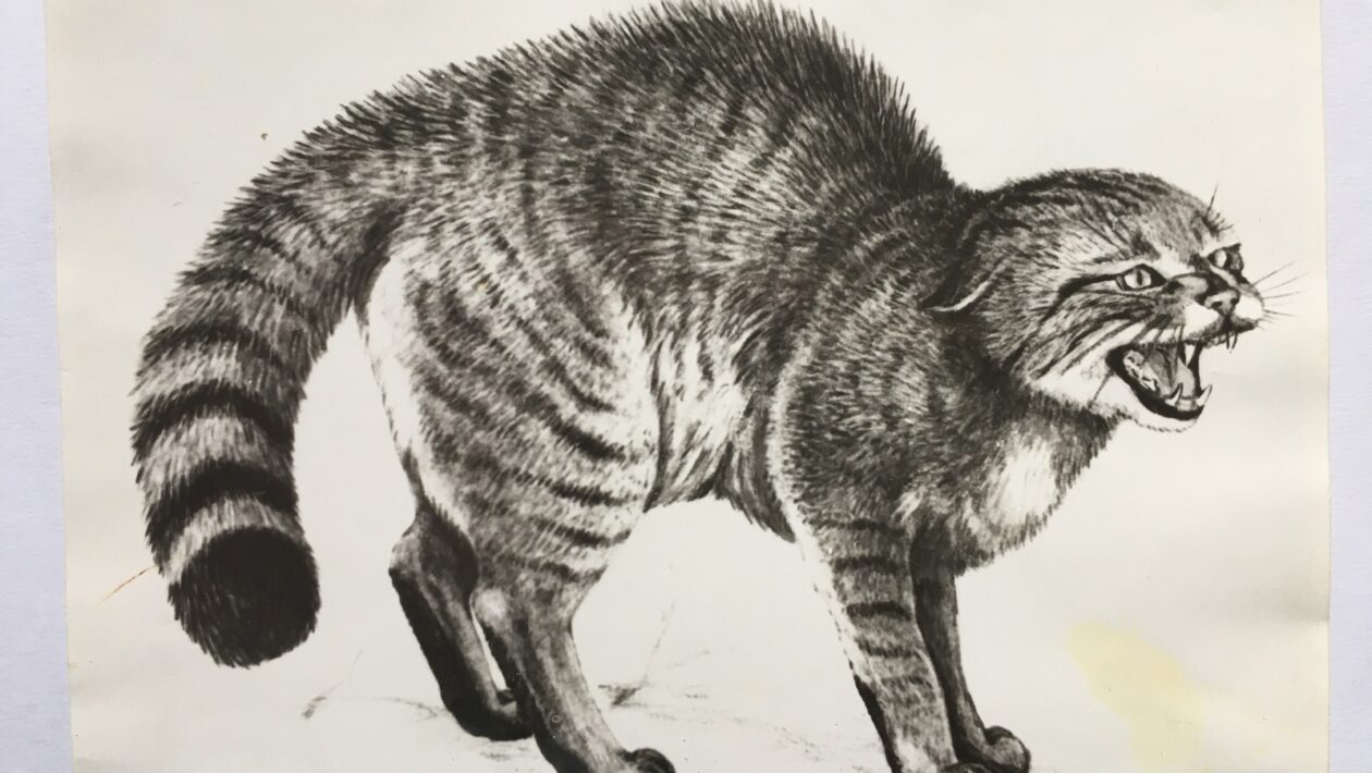 Od analýzy k strategickému implementačnému plánu