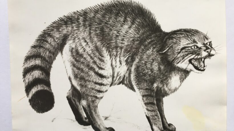 Od analýzy k strategickému implementačnému plánu