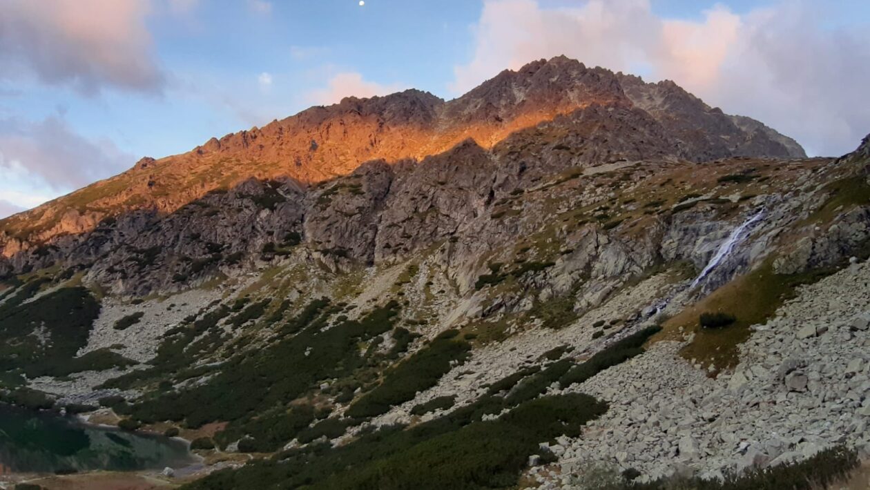 Stratégia Ľudí: Headcount, rozvoj zručností a Succession Planning
