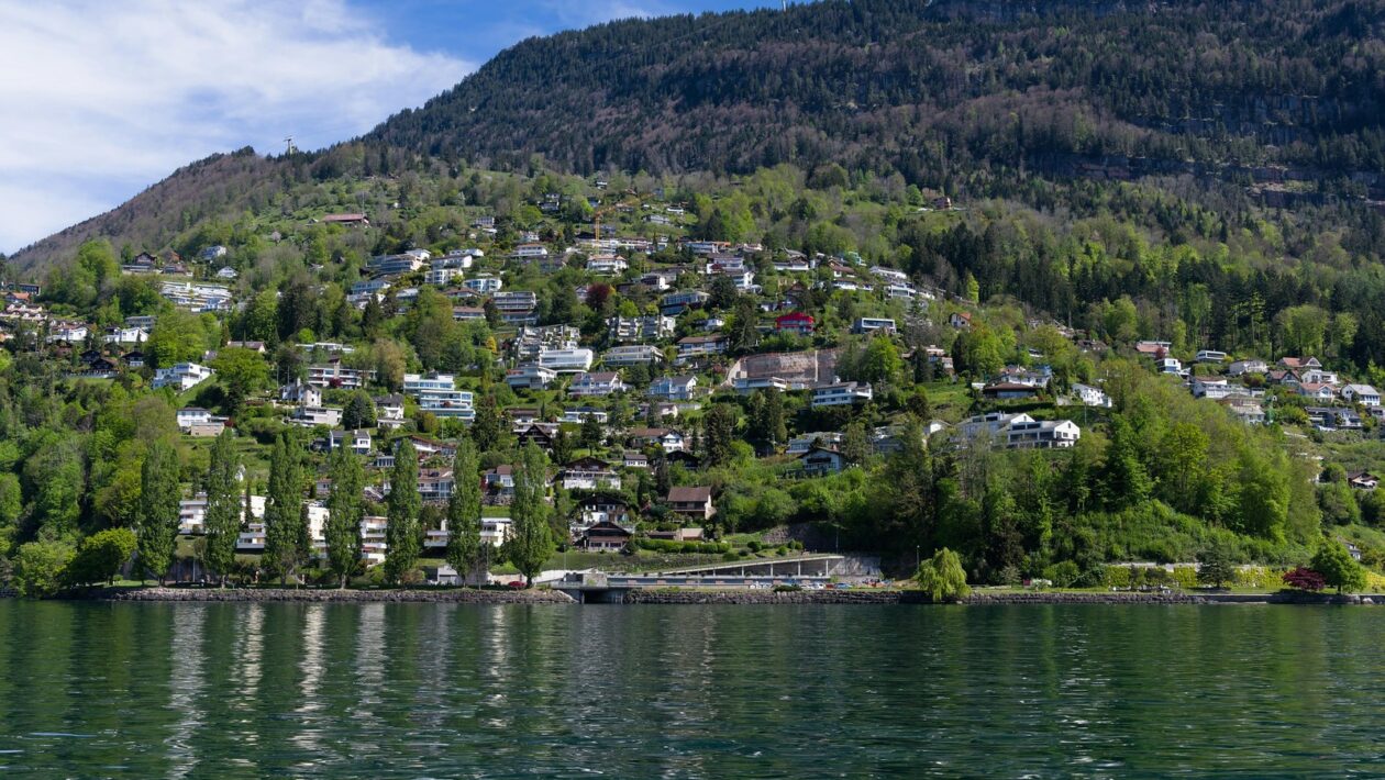 Feedback ako kontrola: Tvorba kontrolných mechanizmov a cyklov spätnej väzby