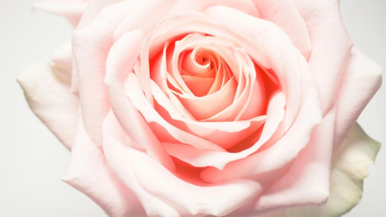 Inkluzívne riadenie: Riadenie diverzity a medziľudských vzťahov v tíme