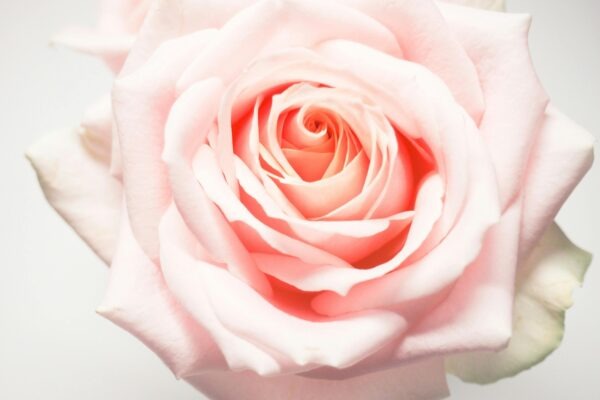 Inkluzívne riadenie: Riadenie diverzity a medziľudských vzťahov v tíme