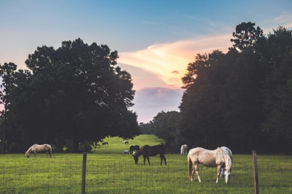 Princípy riadenia: Kybernetika, riadenie a dôležitosť spätných väzieb
