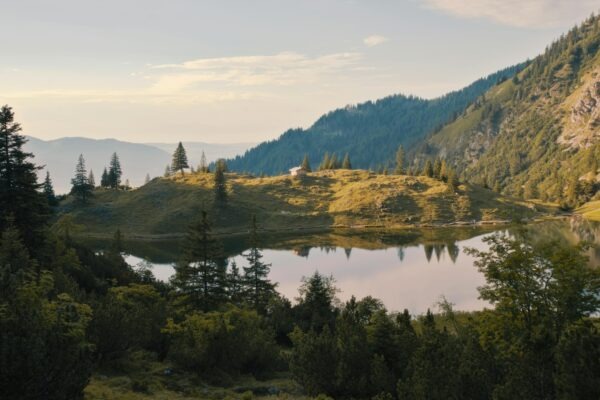 Štýly vedenia: Charizmatické vs. autentické vedenie a ich dopady