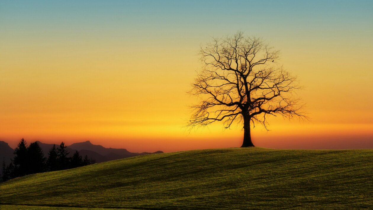 Generické stratégie: Nákladové vedenie, diferenciácia a fokus v praxi