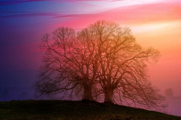 Výber kompetencií: Ako zvoliť vhodnú konkurenčnú stratégiu