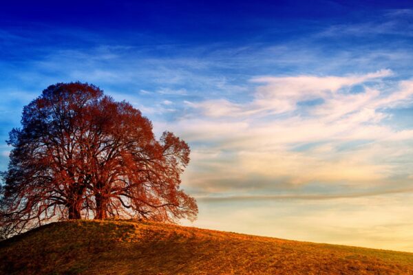 Podniková architektúra: Hierarchia strategických úrovní v organizácii