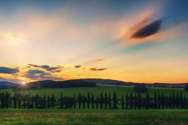 Vertikálna integrácia: Koordinácia firemných a obchodných cieľov