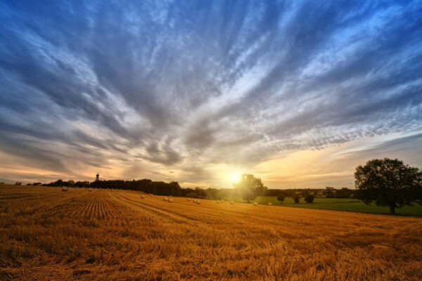 Prípadové štúdie integrácie: Úspešné viacúrovňové stratégie z praxe