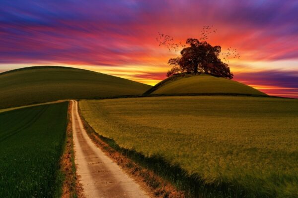 Metodika plánovania: Proces tvorby merateľných strategických plánov