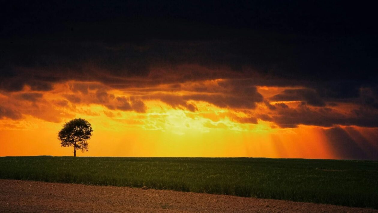 KPIs a ciele: Merateľné ciele a indikátory výkonnosti