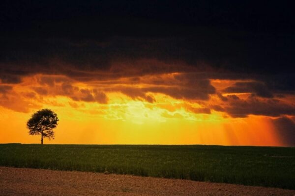 KPIs a ciele: Merateľné ciele a indikátory výkonnosti