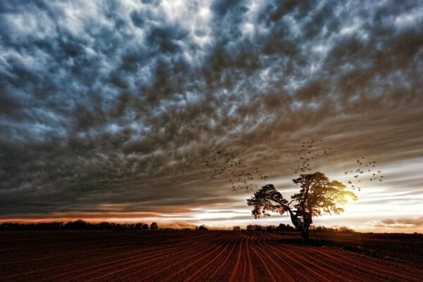 Feedback loop: Strategický controlling a spätná väzba v plánovacom cykle