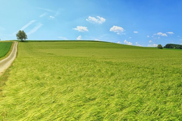 Kvantifikácia úspechu: Vyhodnocovanie úspešnosti a efektivity stratégie