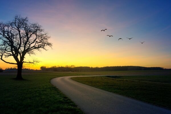 Holistické meranie: Prepojenie finančných a nefinančných cieľov v BSC