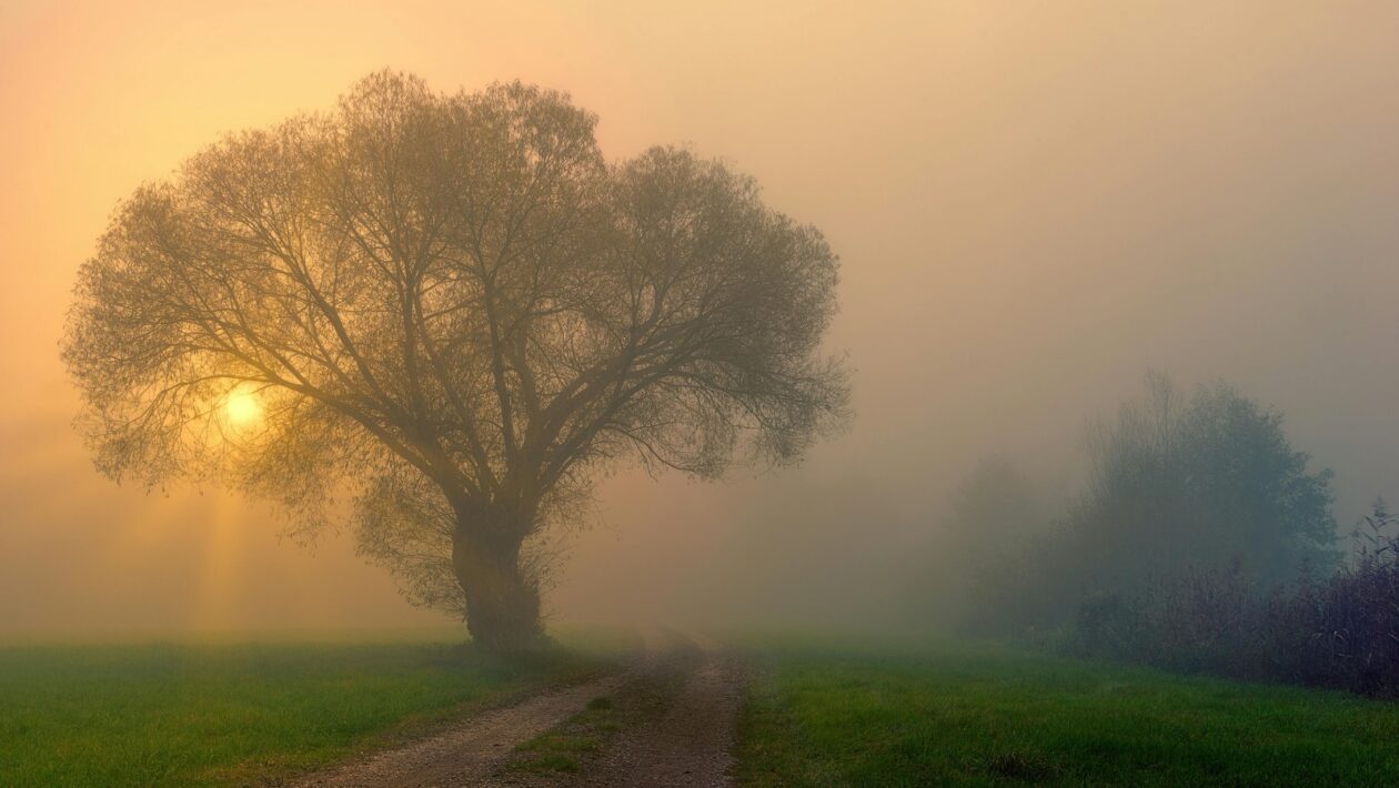 Kaskádovanie BSC: Implementácia Balanced Scorecard do podnikovej štruktúry
