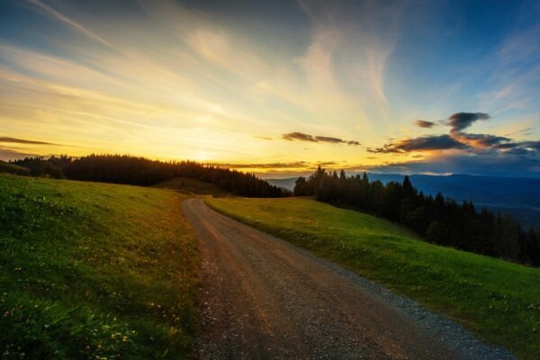 Vplyv volatility: Vplyv nepredvídateľnosti trhu na strategické riadenie