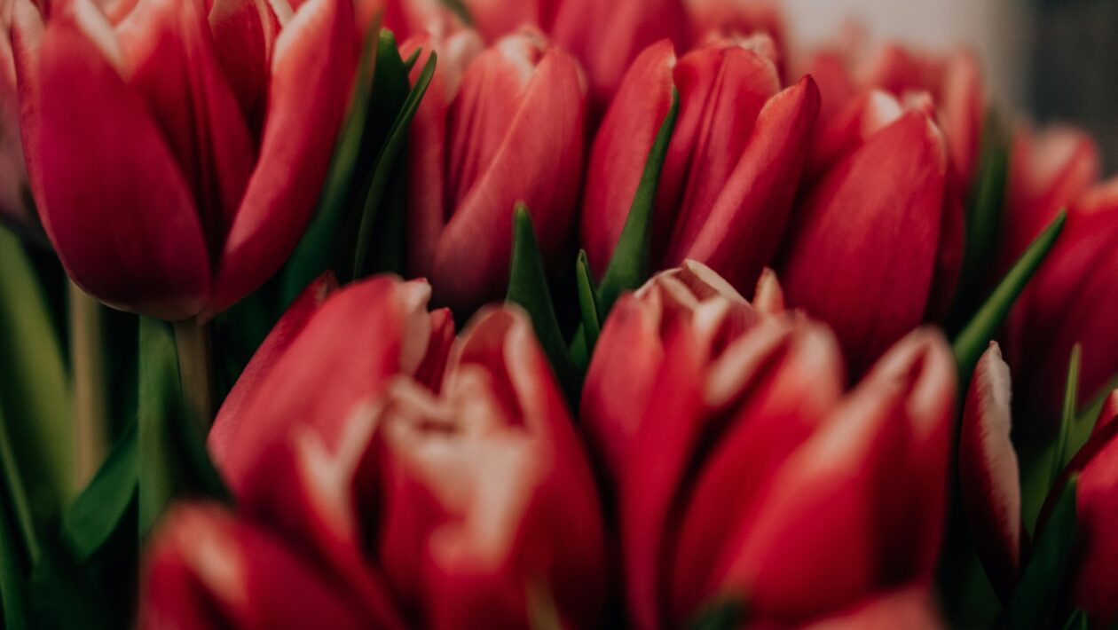 Organizačná flexibilita: Flexibilita ako kľúčová konkurenčná výhoda