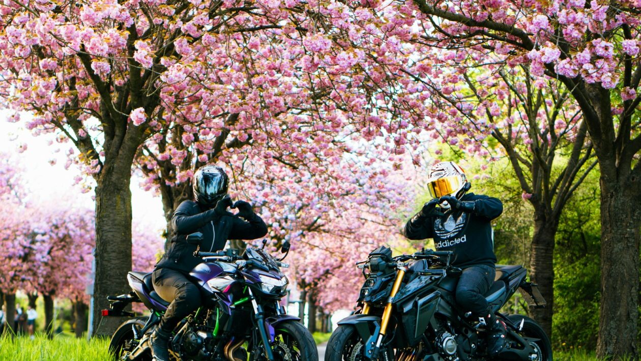 Digitalizácia HR: Automatizácia a digitalizácia personálnych procesov