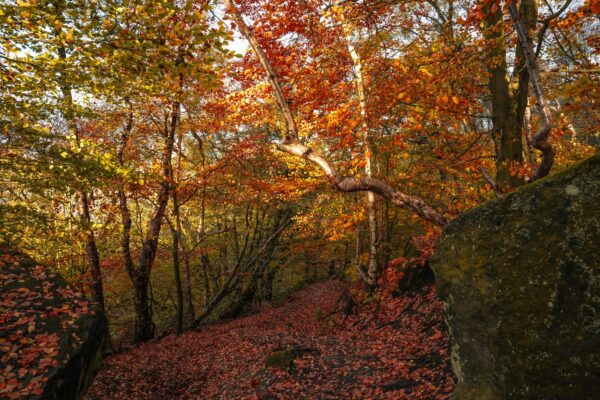 Chyby pri delegovaní: Analýza najčastejších chýb pri delegovaní