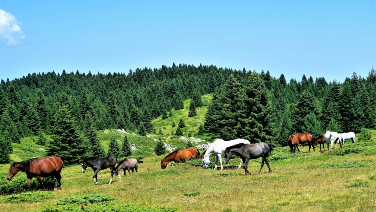 Odpor voči zmene: Príčiny odporu zamestnancov voči zmenám