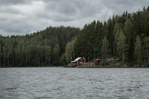 Motivácia v PM: Motivácia členov projektového tímu