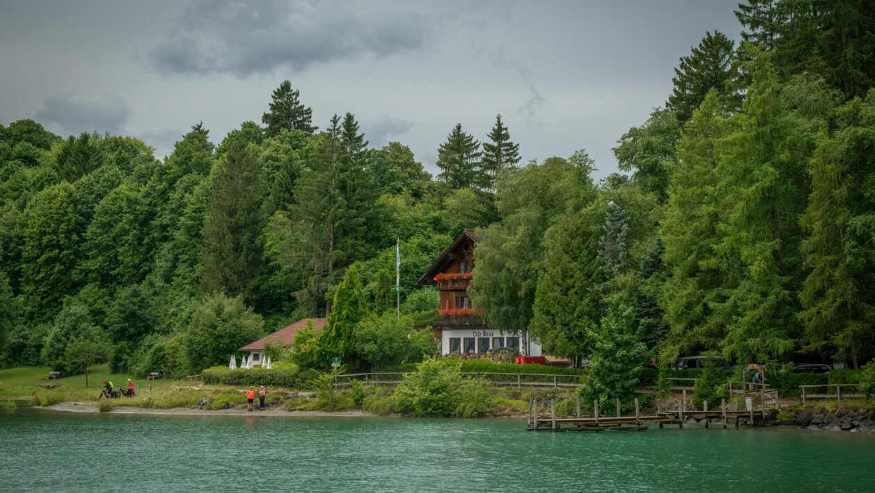 Líder a kouč: Rola projektového lídra a kouča