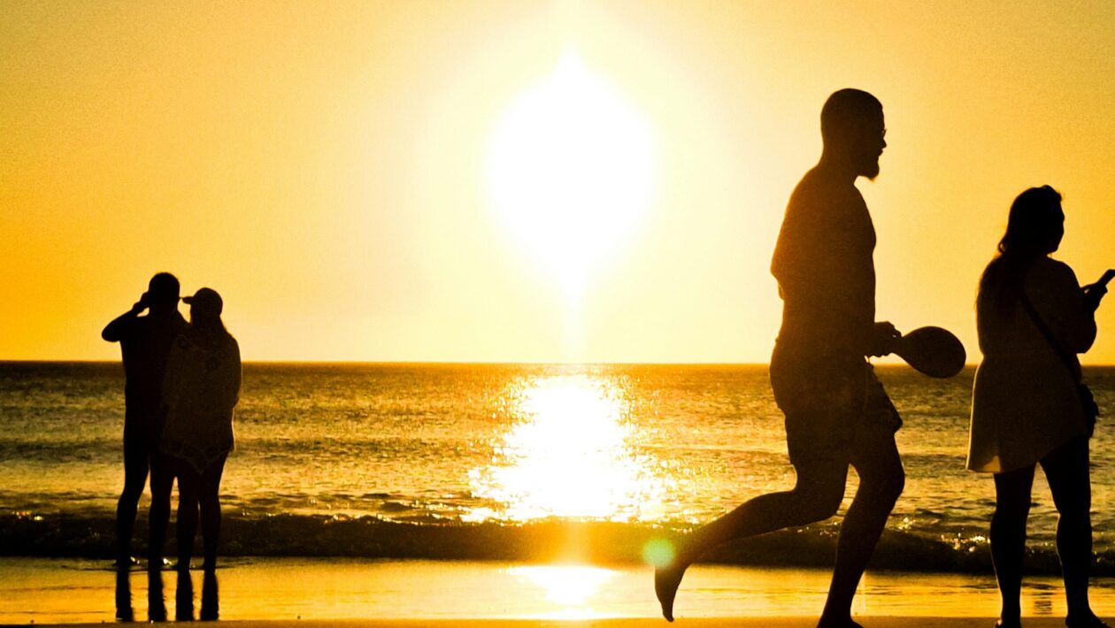 Softvér pre PM: Softvérové riešenia pre riadenie projektov