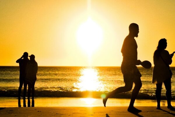 Softvér pre PM: Softvérové riešenia pre riadenie projektov