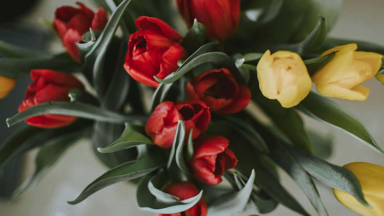 Agilné nástroje: Trello, Jira, Miro a vizuálne nástroje