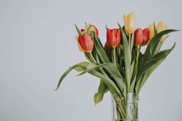 Task management: Riadenie úloh, času a nákladov v PM