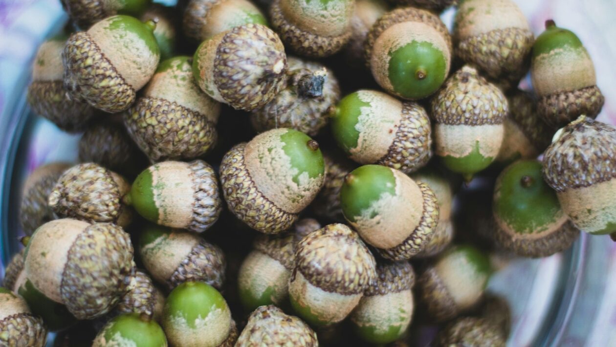 Integrácia systémov: Integrácia projektových nástrojov s CRM systémami