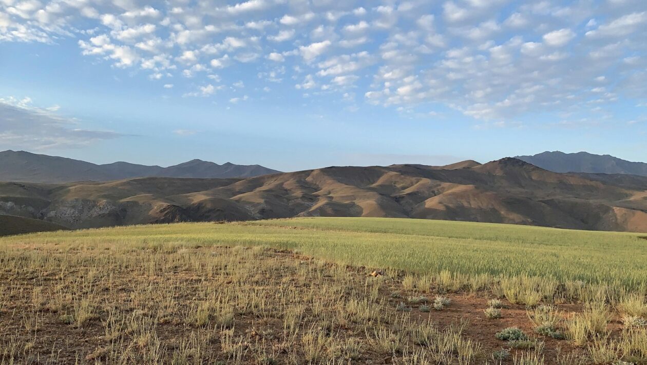 Lessons Learned: Lekcie naučené (lessons learned) v praxi