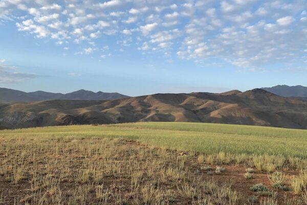 Lessons Learned: Lekcie naučené (lessons learned) v praxi