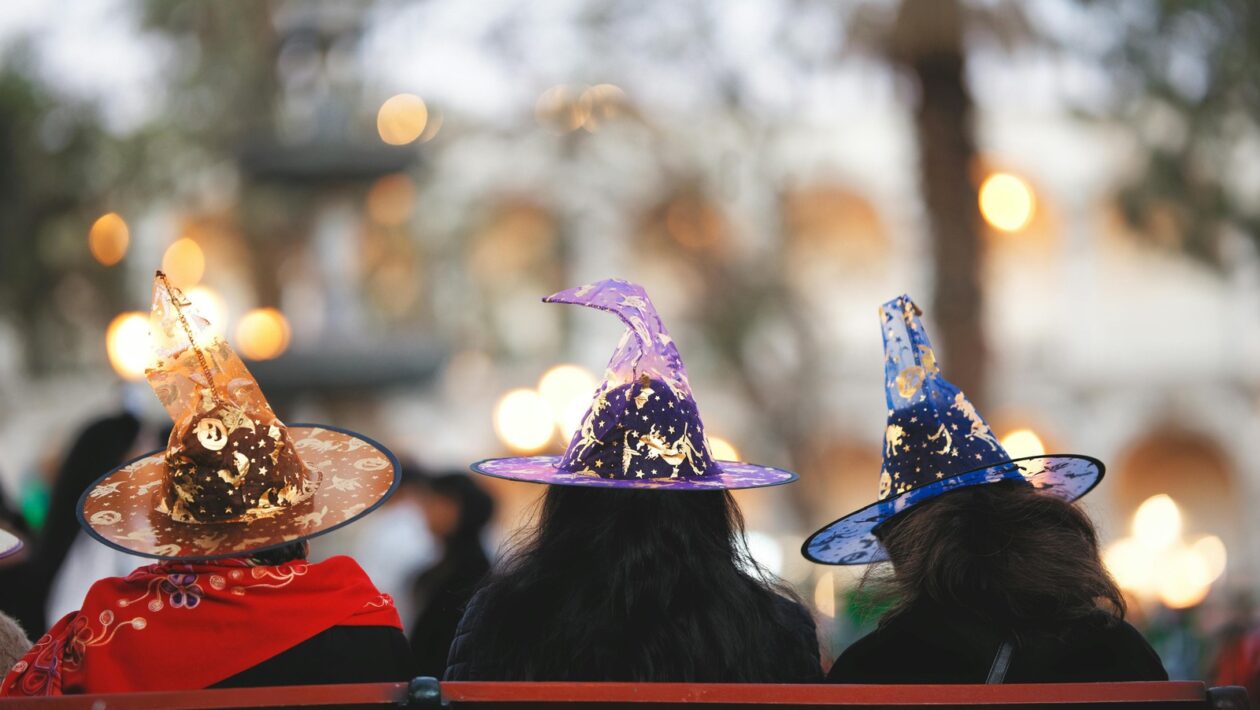 TQM: Total Quality Management (TQM) v praxi