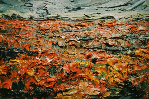 Audity: Audity kvality a interné hodnotenie