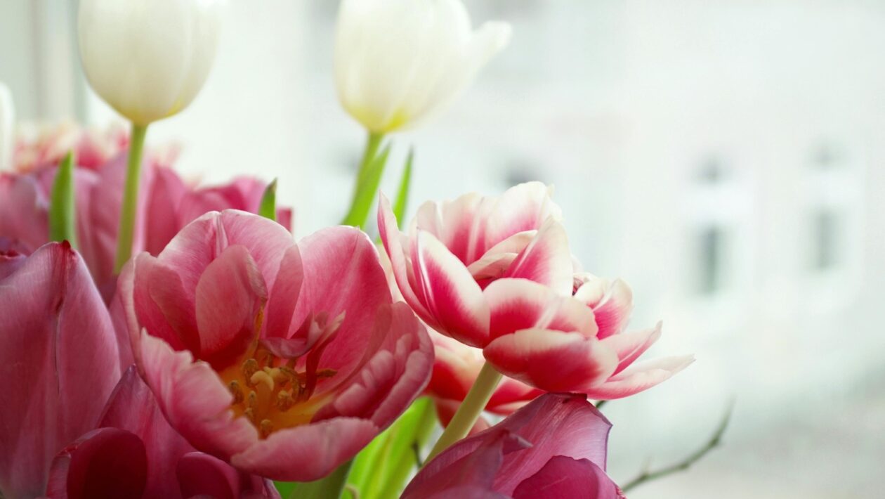 Modelovanie procesov: Modelovanie procesov – BPMN