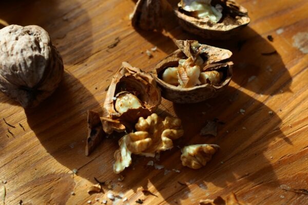 Etický kódex: Firemné etické kódexy a compliance