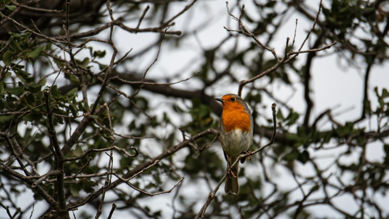 Podnikateľské myslenie: Podpora podnikateľského myslenia zamestnancov