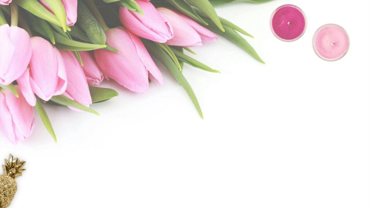 Kultúrne dimenzie: Modely kultúrnych dimenzií – Hofstede, Trompenaars