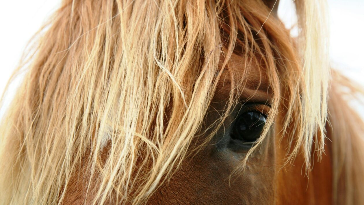 Spolupráca: Praktické stratégie pre medzi-kultúrnu spoluprácu