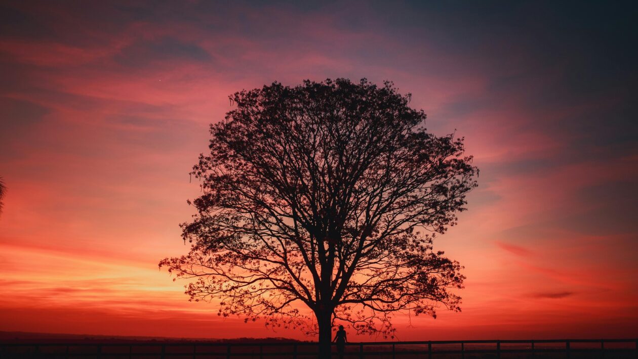 Neverbálne signály: Neverbálne signály a kultúrne odlišnosti